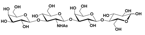LNT lacto-n-tetraose HMO human milk oligosaccharide