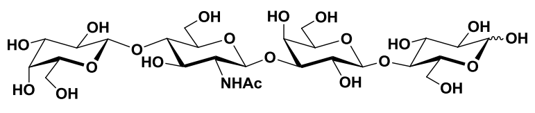 LNnT lacto-n-neotetraose HMO human milk oligosaccharide
